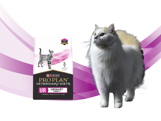 Purina Pro Plan Veterinary Diets Cat | Purina Arabia